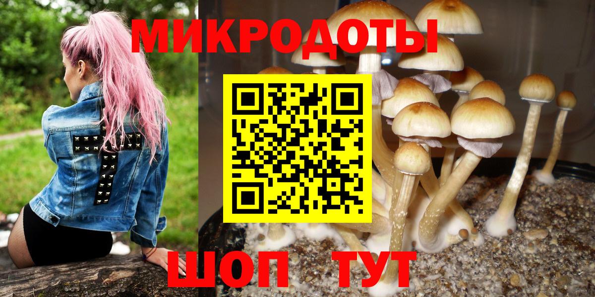 Псилоцибиновые грибы мухоморы Бор